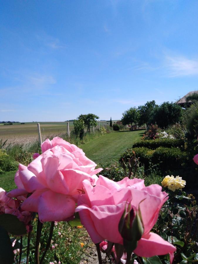 Bed and Breakfast A L Epoque Bouges  Exterior foto